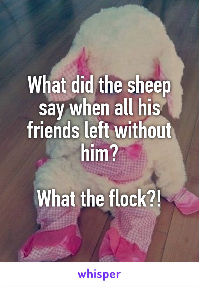 What did the sheep say when all his friends left without him?

What the flock?!