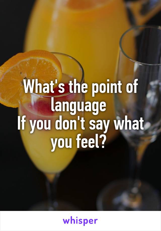 What's the point of language 
If you don't say what you feel? 