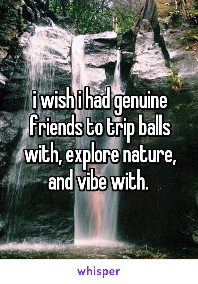 i wish i had genuine friends to trip balls with, explore nature, and vibe with. 