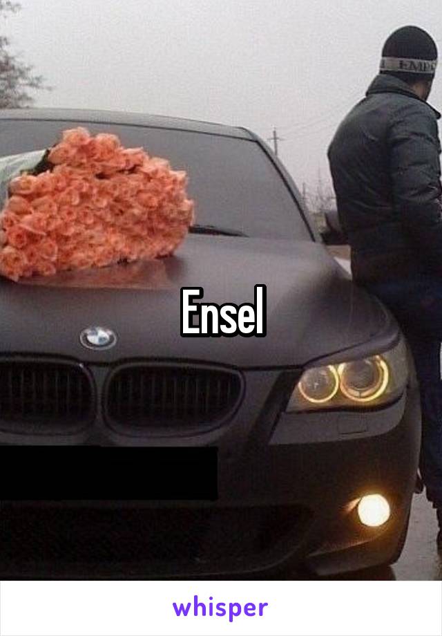 Ensel