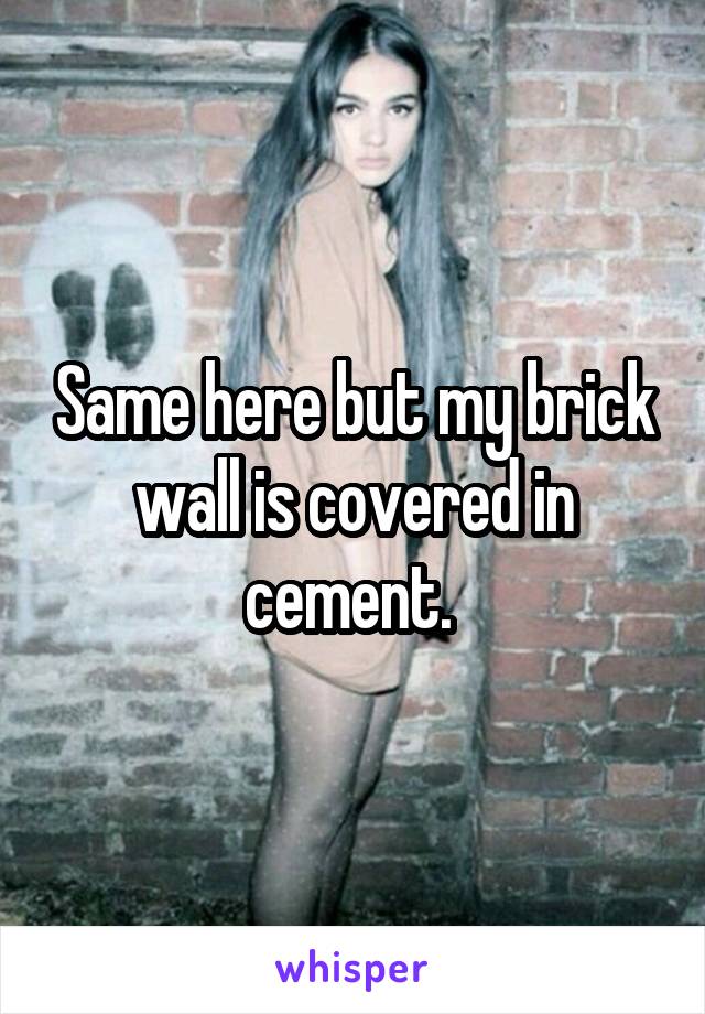 Same here but my brick wall is covered in cement. 