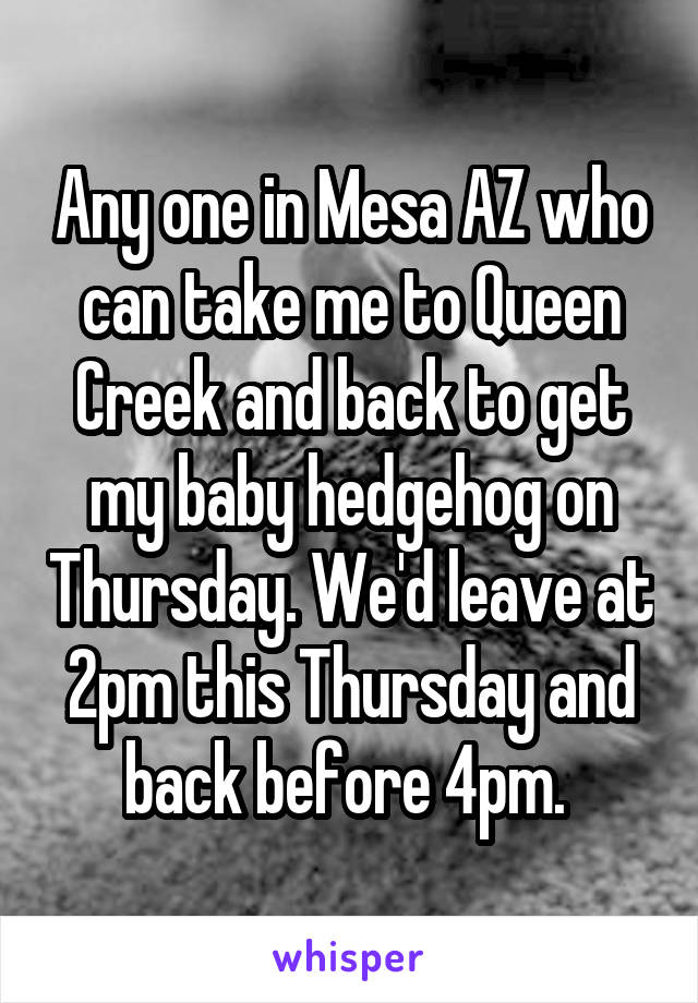 Any one in Mesa AZ who can take me to Queen Creek and back to get my baby hedgehog on Thursday. We'd leave at 2pm this Thursday and back before 4pm. 