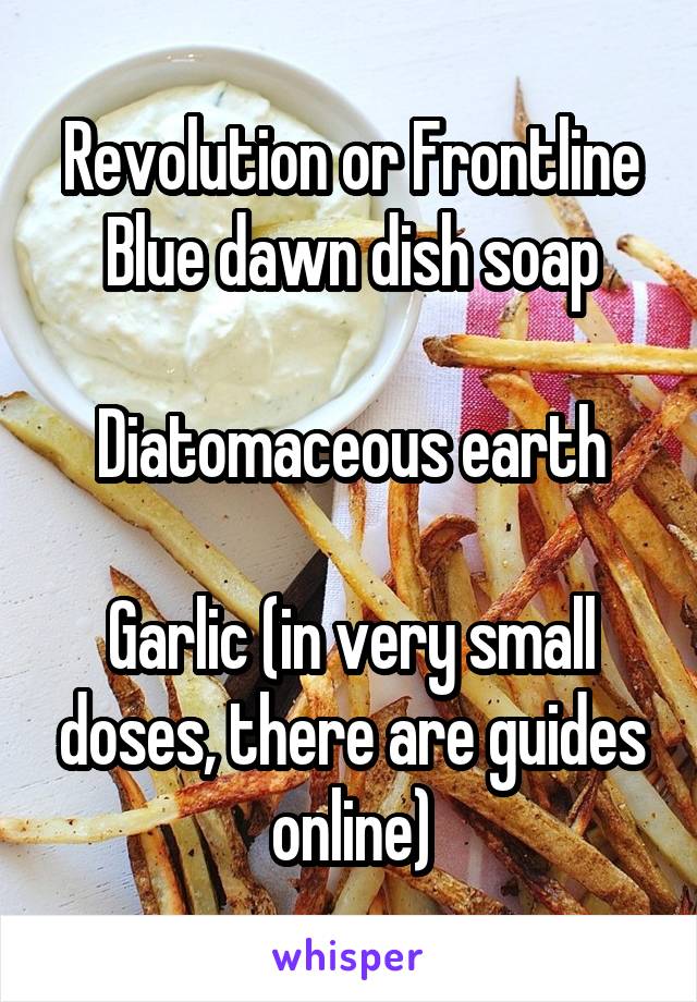 Revolution or Frontline
Blue dawn dish soap

Diatomaceous earth

Garlic (in very small doses, there are guides online)