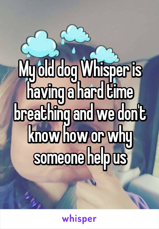 My old dog Whisper is having a hard time breathing and we don't know how or why someone help us