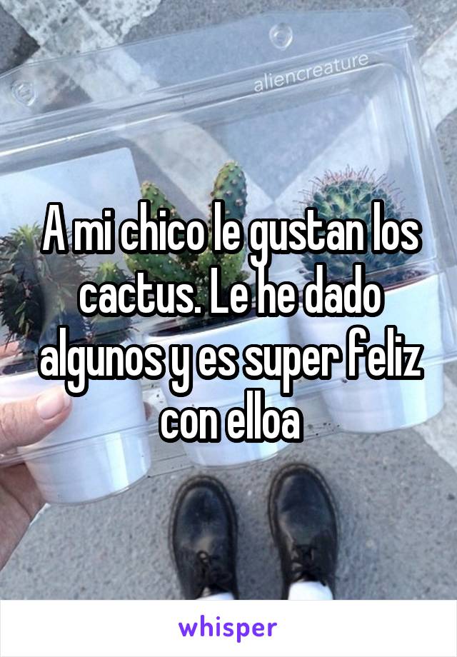 A mi chico le gustan los cactus. Le he dado algunos y es super feliz con elloa