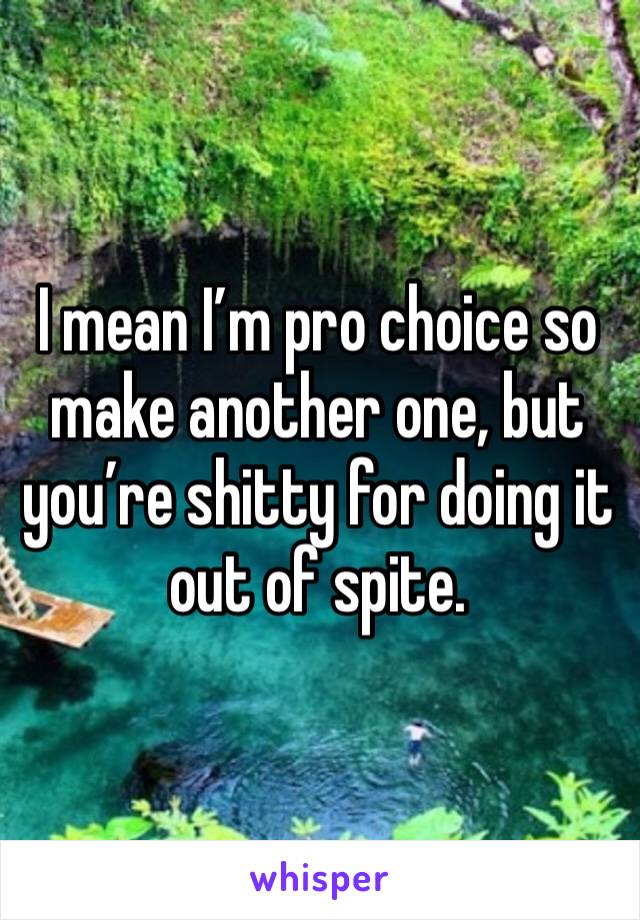 I mean I’m pro choice so make another one, but you’re shitty for doing it out of spite. 