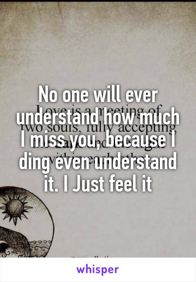 No one will ever understand how much I miss you, because I ding even understand it. I Just feel it