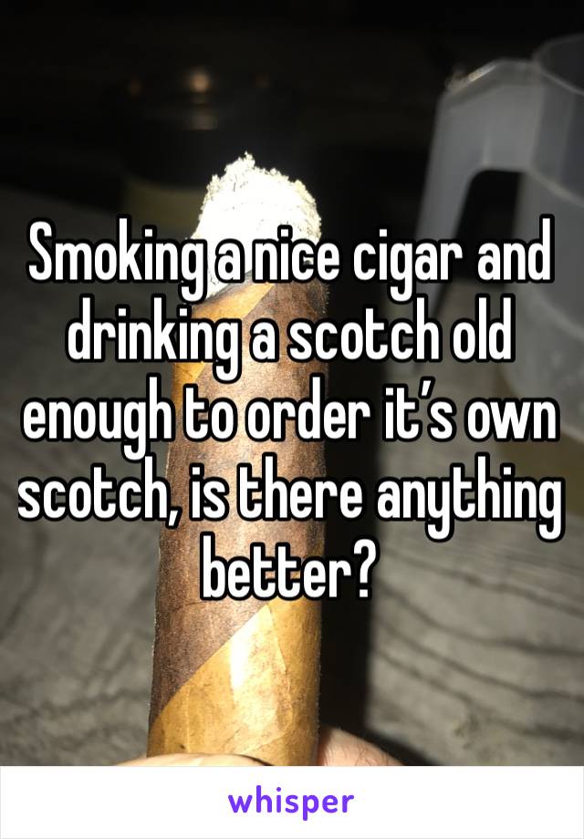 Smoking a nice cigar and drinking a scotch old enough to order it’s own scotch, is there anything better?