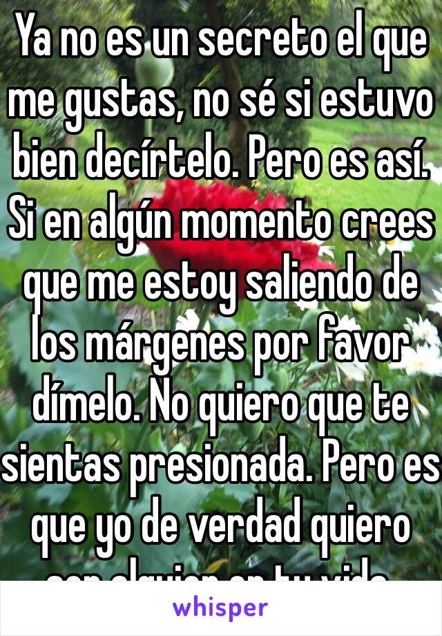 Ya no es un secreto el que me gustas, no sé si estuvo bien decírtelo. Pero es así. Si en algún momento crees que me estoy saliendo de los márgenes por favor dímelo. No quiero que te sientas presionada. Pero es que yo de verdad quiero ser alguien en tu vida. 