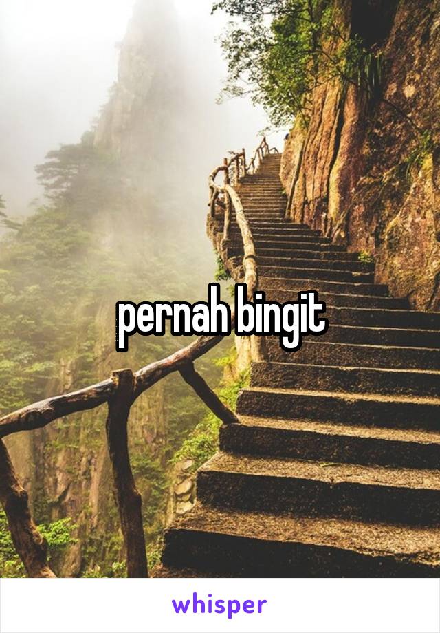 pernah bingit