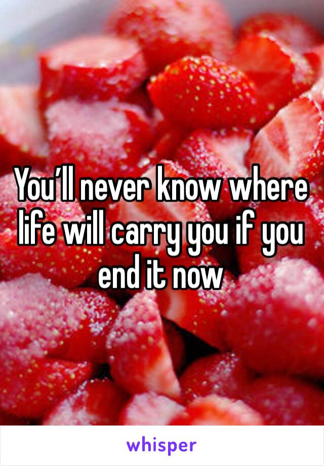 You’ll never know where life will carry you if you end it now 