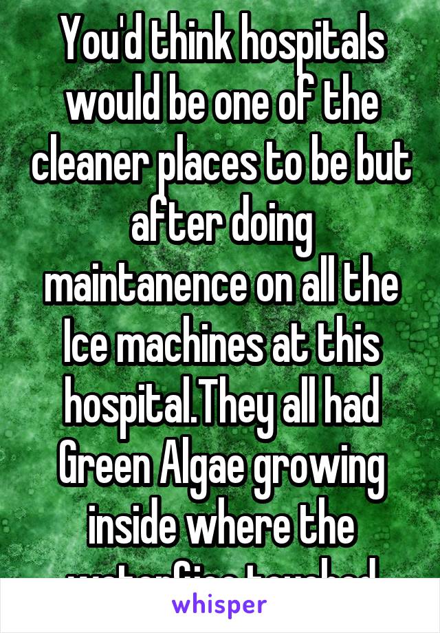 You'd think hospitals would be one of the cleaner places to be but after doing maintanence on all the Ice machines at this hospital.They all had Green Algae growing inside where the water&ice touched