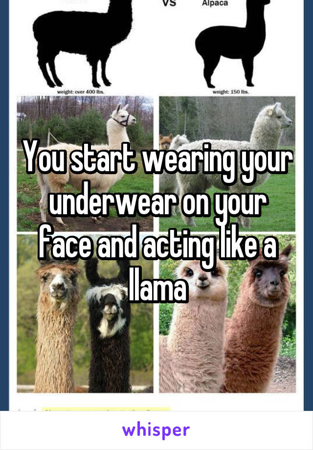 You start wearing your underwear on your face and acting like a llama