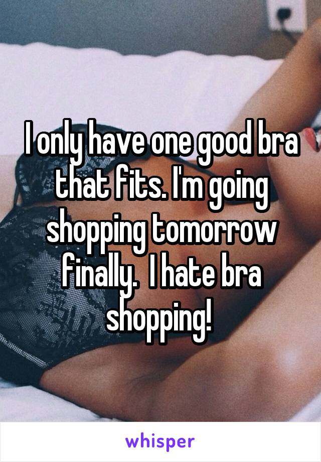 I only have one good bra that fits. I'm going shopping tomorrow finally.  I hate bra shopping! 