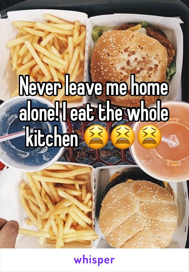 Never leave me home alone! I eat the whole kitchen 😫😫😫