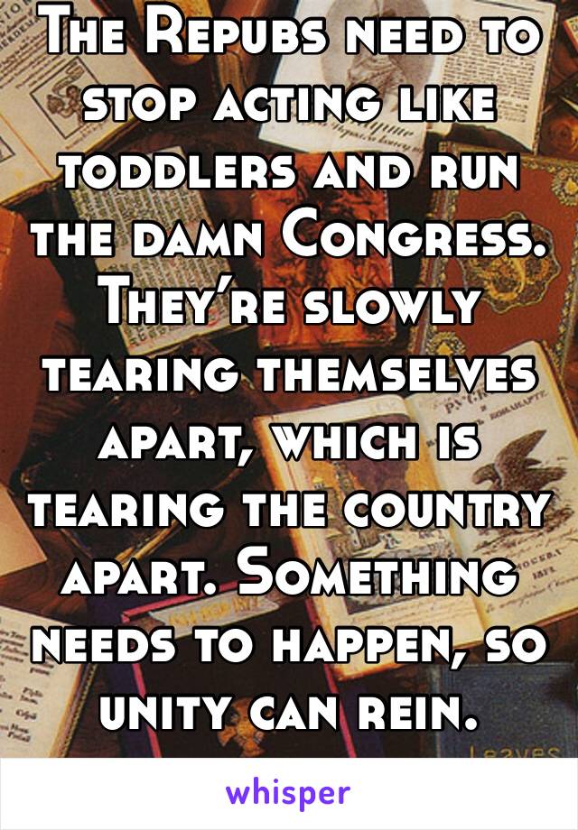 The Repubs need to stop acting like toddlers and run the damn Congress. They’re slowly tearing themselves apart, which is tearing the country apart. Something needs to happen, so unity can rein. 