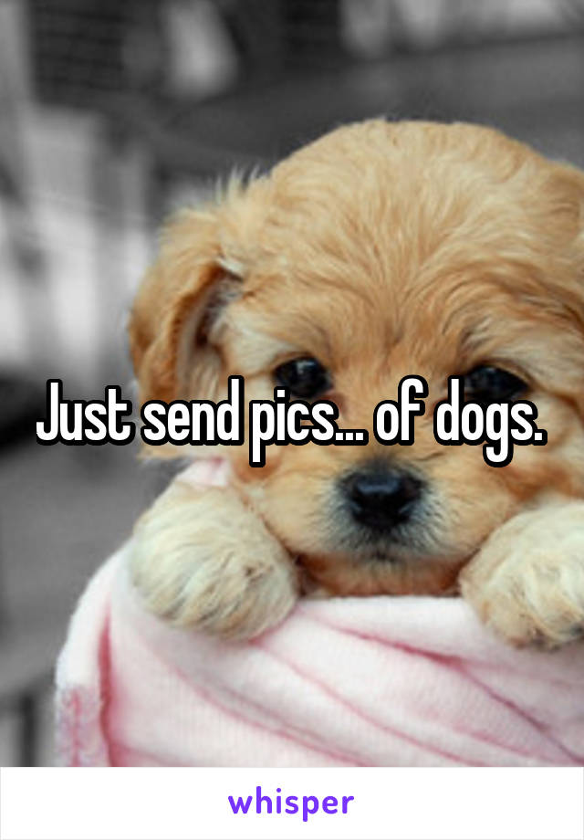 Just send pics... of dogs. 