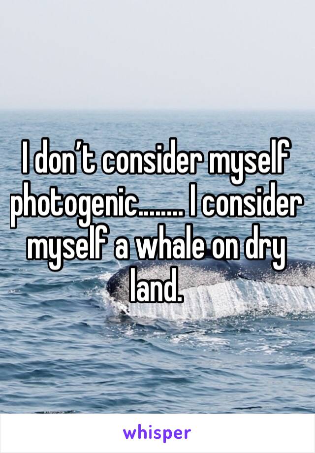 I don’t consider myself photogenic........ I consider myself a whale on dry land.