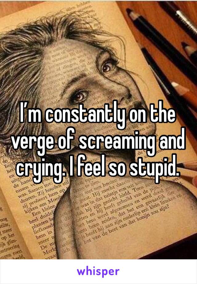 I’m constantly on the verge of screaming and crying. I feel so stupid.