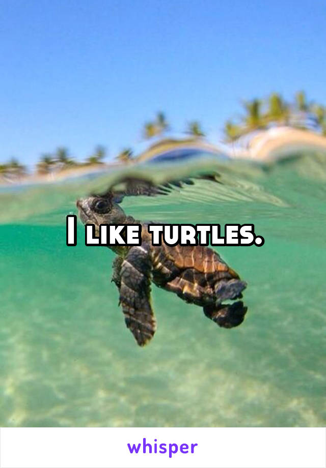 I like turtles.