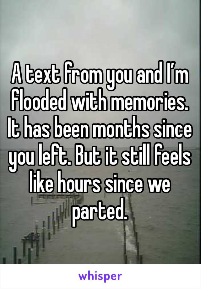 A text from you and I’m flooded with memories.
It has been months since you left. But it still feels like hours since we parted.