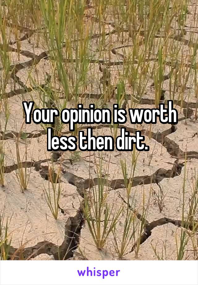 Your opinion is worth less then dirt. 
