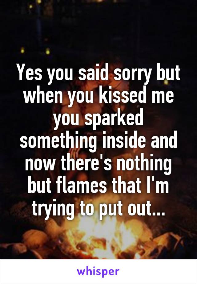 Yes you said sorry but when you kissed me you sparked something inside and now there's nothing but flames that I'm trying to put out...