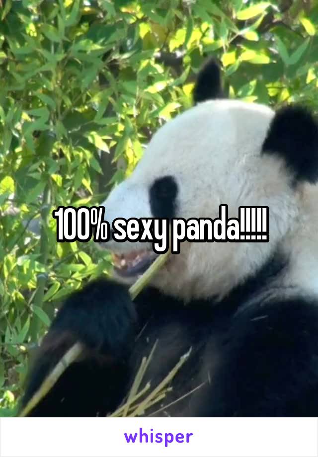 100% sexy panda!!!!!