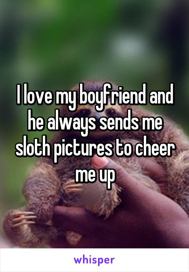 I love my boyfriend and he always sends me sloth pictures to cheer me up