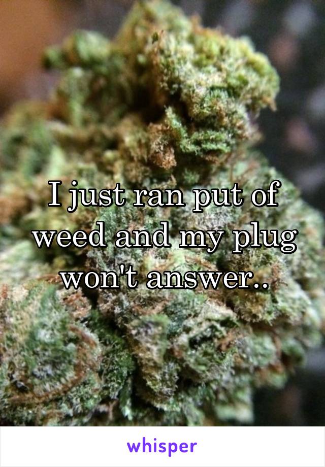 I just ran put of weed and my plug won't answer..