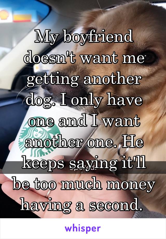 My boyfriend doesn't want me getting another dog. I only have one and I want another one. He keeps saying it'll be too much money having a second. 