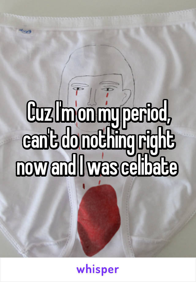 Cuz I'm on my period, can't do nothing right now and I was celibate 