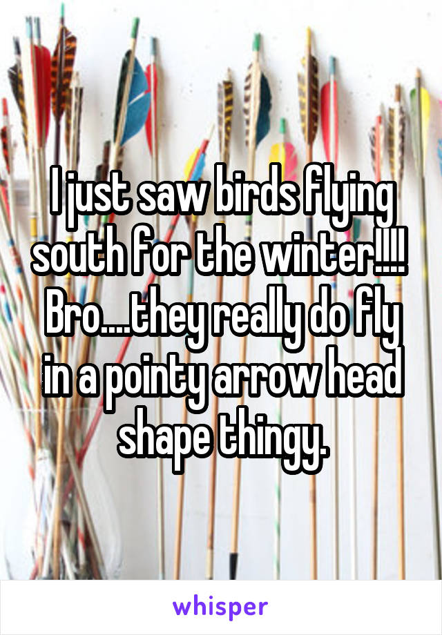 I just saw birds flying south for the winter!!!! 
Bro....they really do fly in a pointy arrow head shape thingy.