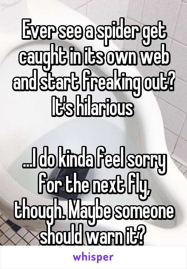 Ever see a spider get caught in its own web and start freaking out? It's hilarious 

...I do kinda feel sorry for the next fly, though. Maybe someone should warn it? 