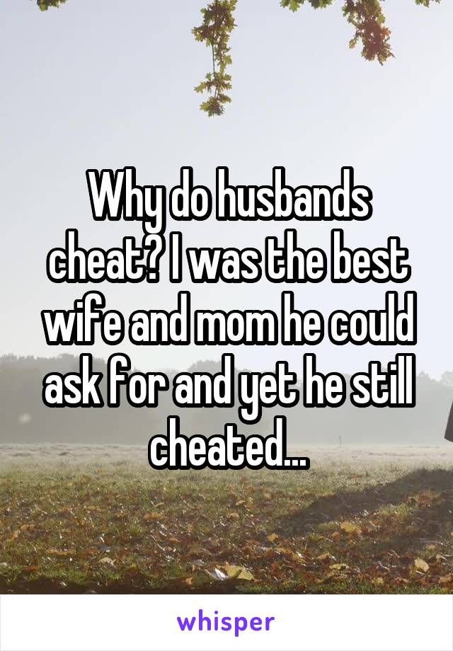 Why do husbands cheat? I was the best wife and mom he could ask for and yet he still cheated...