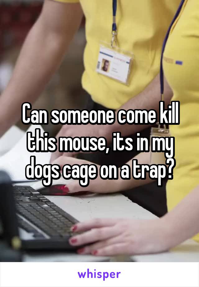 Can someone come kill this mouse, its in my dogs cage on a trap?