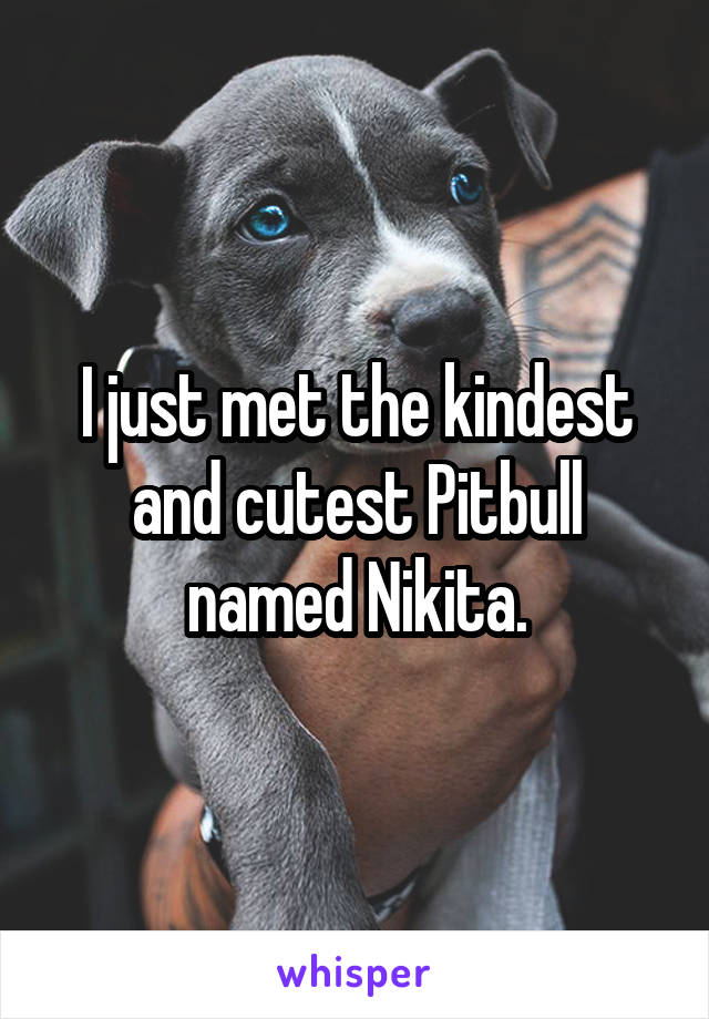 I just met the kindest and cutest Pitbull named Nikita.