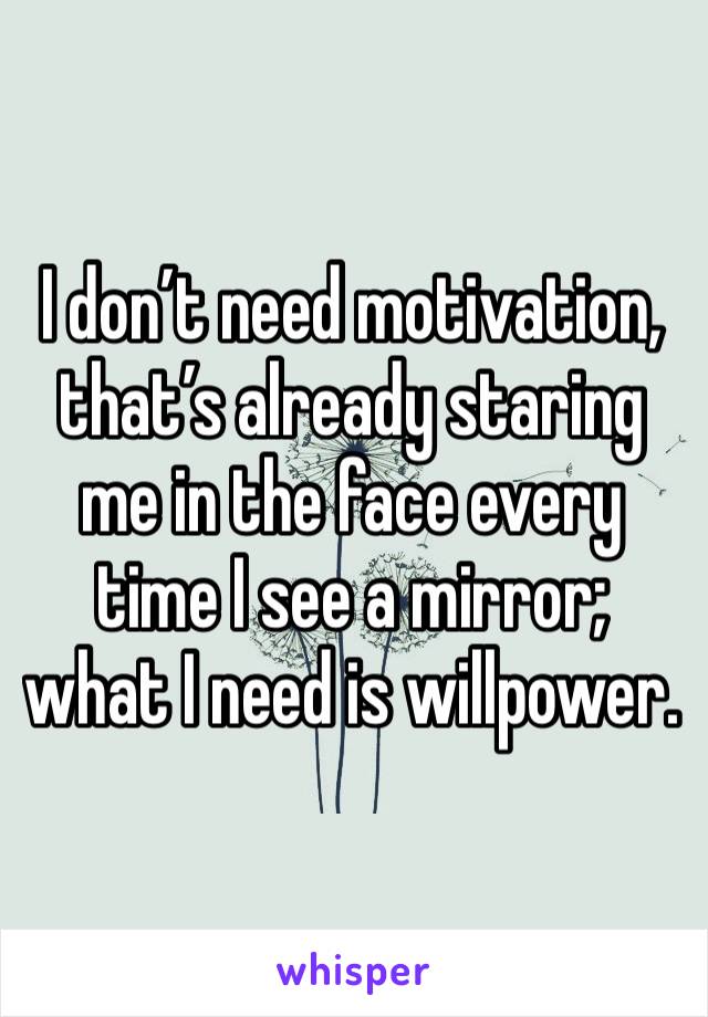 I don’t need motivation, that’s already staring me in the face every time I see a mirror; what I need is willpower. 