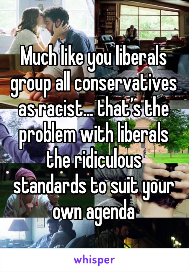 Much like you liberals group all conservatives as racist... that’s the problem with liberals the ridiculous
standards to suit your own agenda