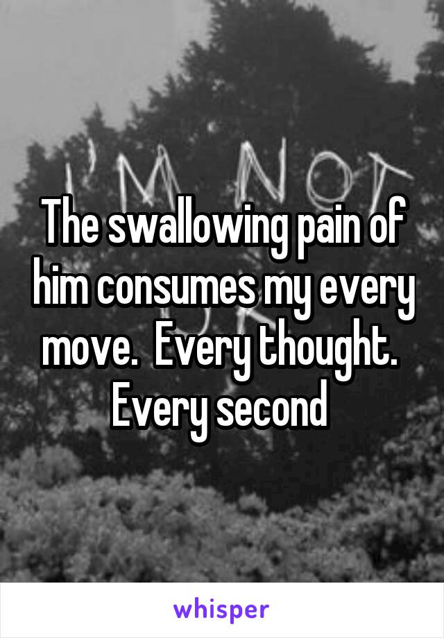 The swallowing pain of him consumes my every move.  Every thought.  Every second 