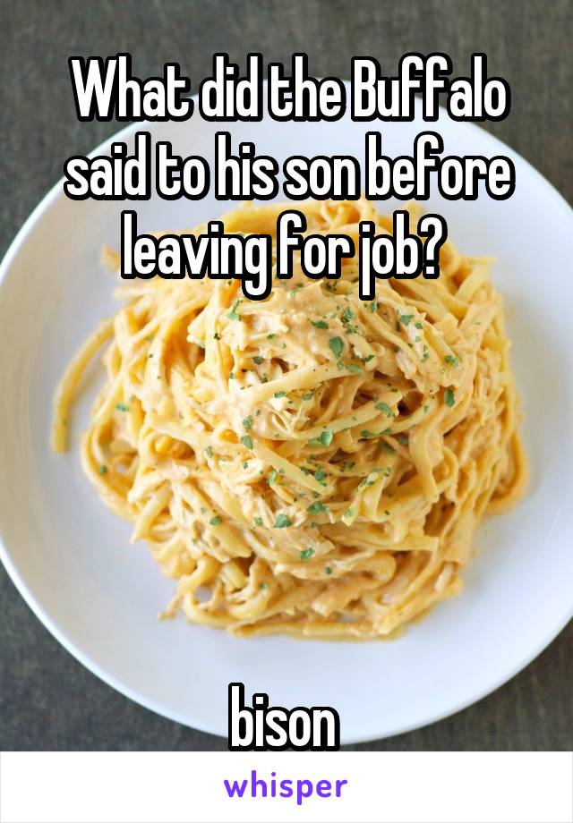 What did the Buffalo said to his son before leaving for job? 





bison 