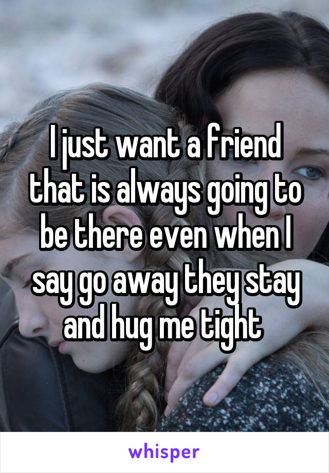 I just want a friend that is always going to be there even when I say go away they stay and hug me tight 