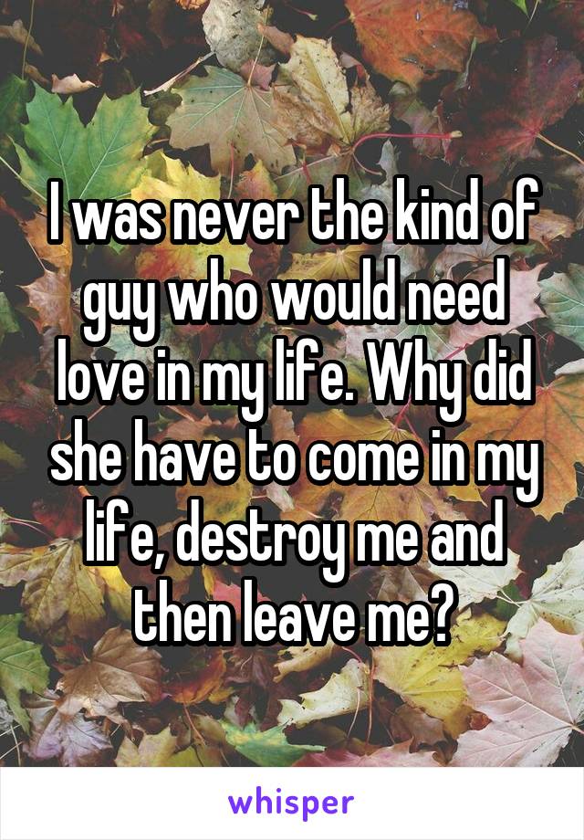 I was never the kind of guy who would need love in my life. Why did she have to come in my life, destroy me and then leave me?