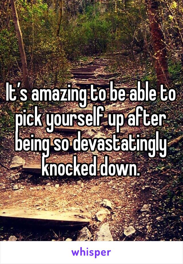 It’s amazing to be able to pick yourself up after being so devastatingly knocked down.