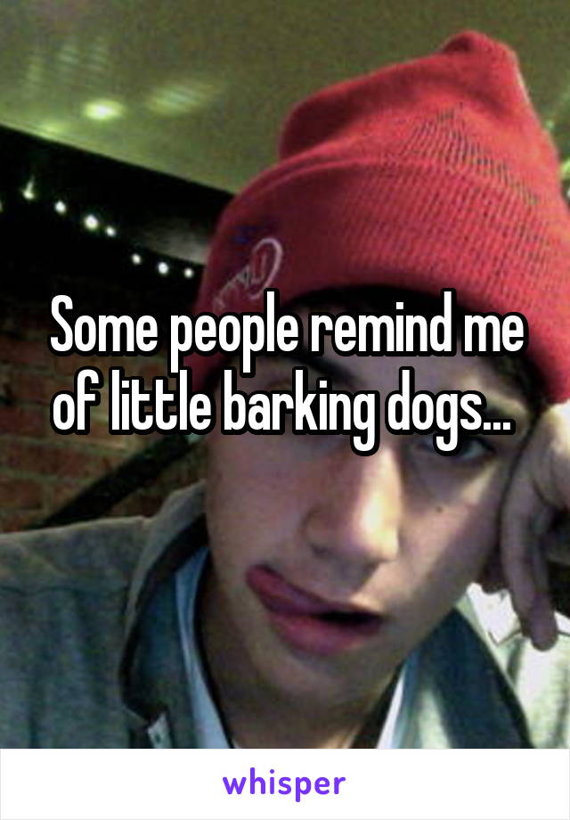 Some people remind me of little barking dogs... 
