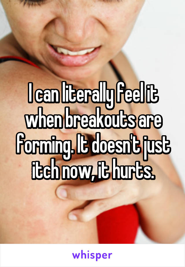 I can literally feel it when breakouts are forming. It doesn't just itch now, it hurts.