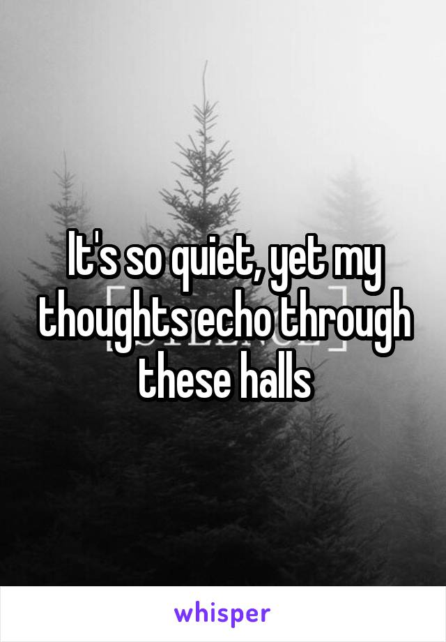 It's so quiet, yet my thoughts echo through these halls