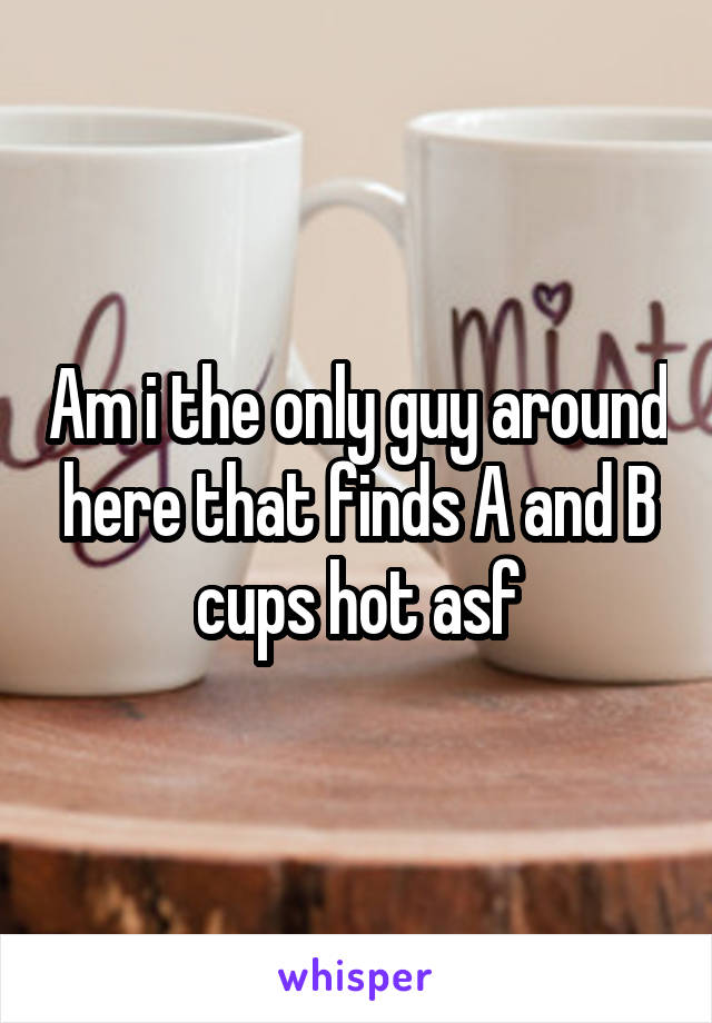 Am i the only guy around here that finds A and B cups hot asf