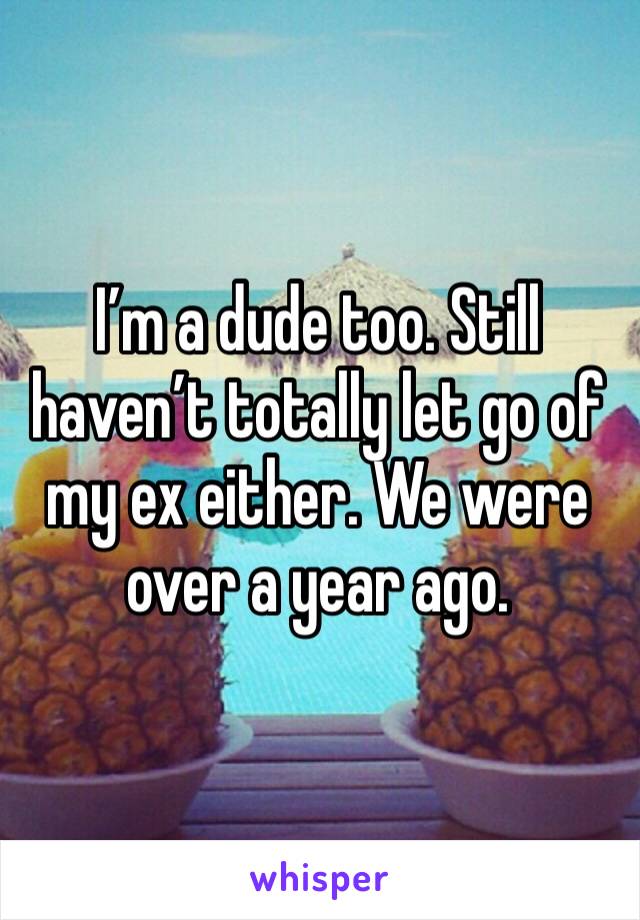 I’m a dude too. Still haven’t totally let go of my ex either. We were over a year ago.