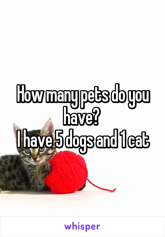 How many pets do you have? 
I have 5 dogs and 1 cat